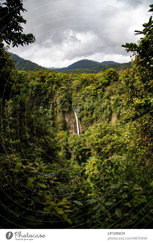 CR XVIII Catarata Río Fortuna Waterfall Costa Rica la fortuna Tourist Attraction Tourism Vacation & Travel Fantastic Exterior shot Nature Far-off places