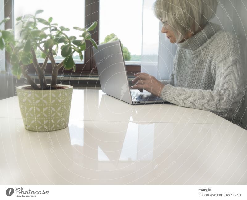 An elderly woman sits at her laptop, notebook Woman older woman Senior citizen Plant Table Desk Window Education insulation Study person Task bureaucracy