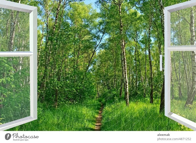 Panoramic window overlooking path in forest. Spring has come spring opened frame panoramic green beautiful nature walking season home native landscape park