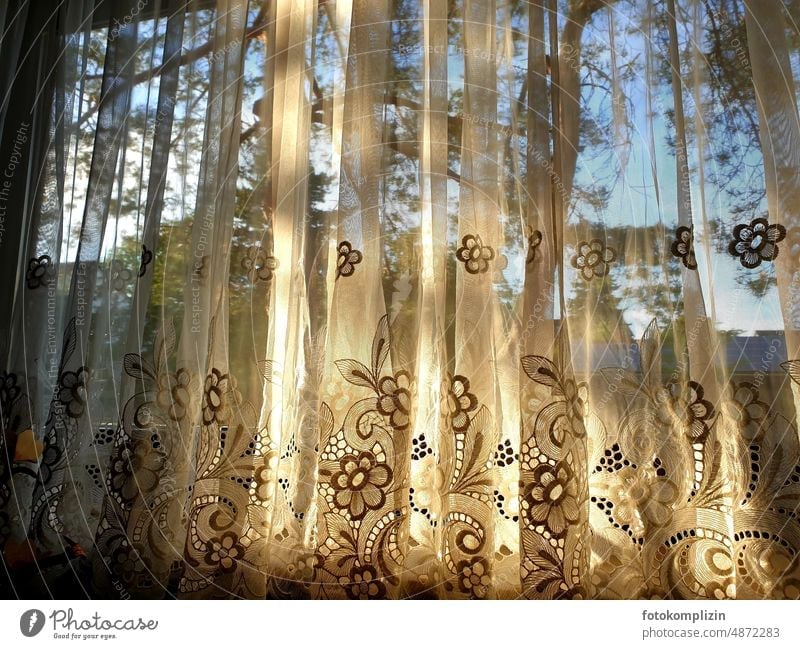 flowery light curtain on the window Drape Curtain Screening Decoration Structures and shapes Textiles Living or residing Folds Window Cloth Sunlight Hang Shadow