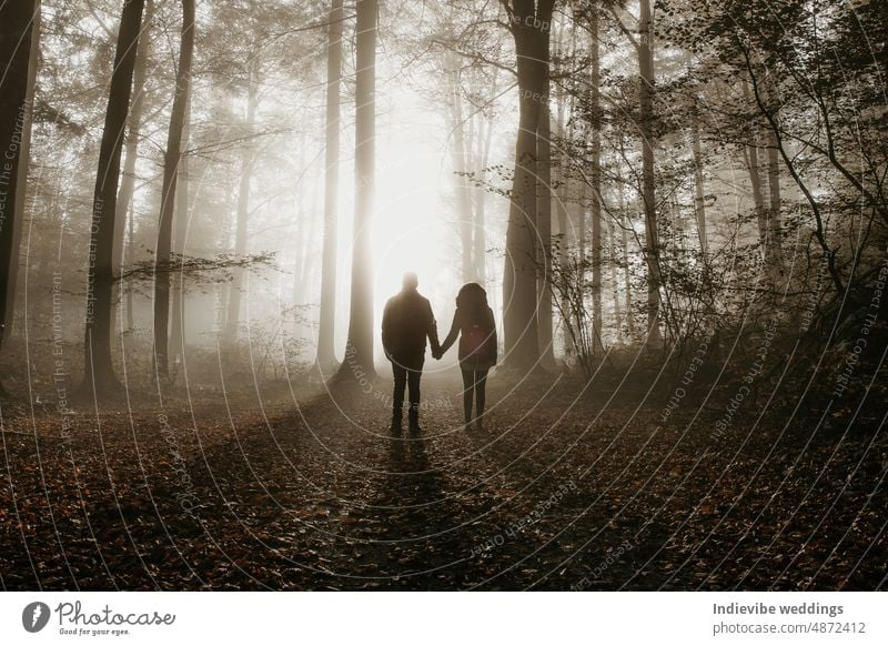 A silhuette of a couple standing in the forest on a foggy morning and holding each others hand. Misty morning in the forest. Long shadows. Alien landing scenery. Sunrise through the trees.