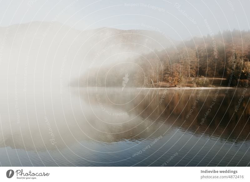 A beautiful misty morning on lake Bohinj in Slovenia. Alpine autumn landscape with fog and calm lake. Nobody on the scene just after sunrise. Copy space. Brown tones tiny waves on the water.