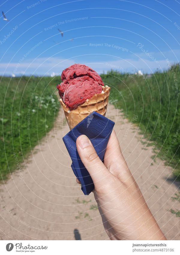 Raspberry ice cream in waffle in hand in park Ice Summer Ice cream Eating Dessert Delicious cute Food Waffle flavor Hand