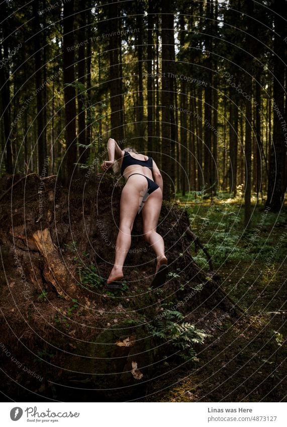 These wild woods are being roamed with wild girls, gorgeous long legs and sexy backs. Summertime, and everything seems so easy and a refreshing day in a forest with a little clothes on is a must.
