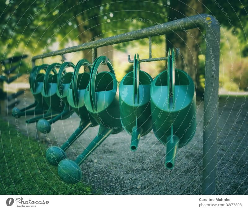 Green watering cans lined up in a cemetery Cemetery Death Park tranquillity Sun Summer Nature Water eternal rest structure Beaded Cast Resting place