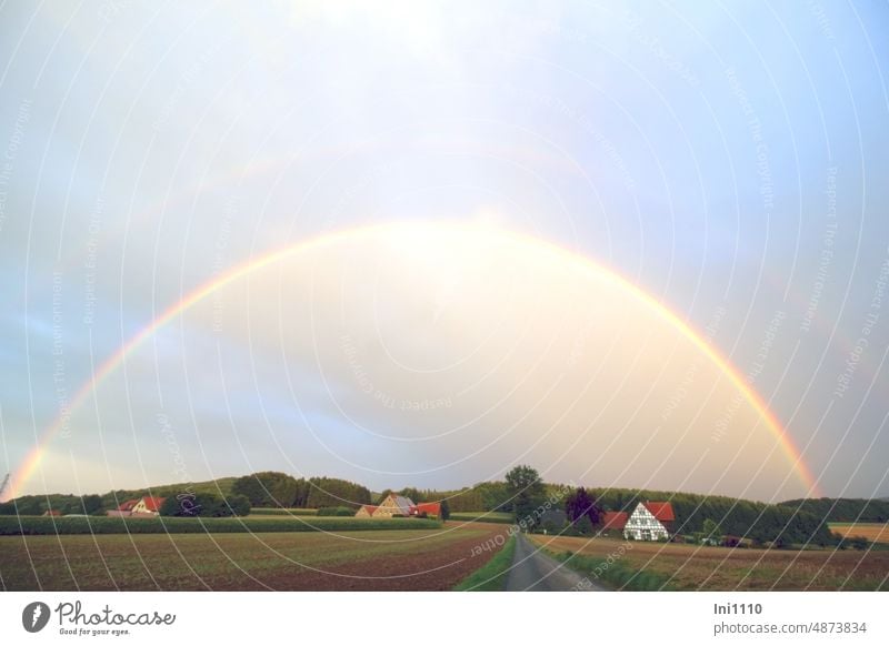 Rainbow in the sky Nature Landscape Agriculture fields houses Street Forest evening mood Sun Light Prismatic colors Natural phenomenon natural spectacle Sky
