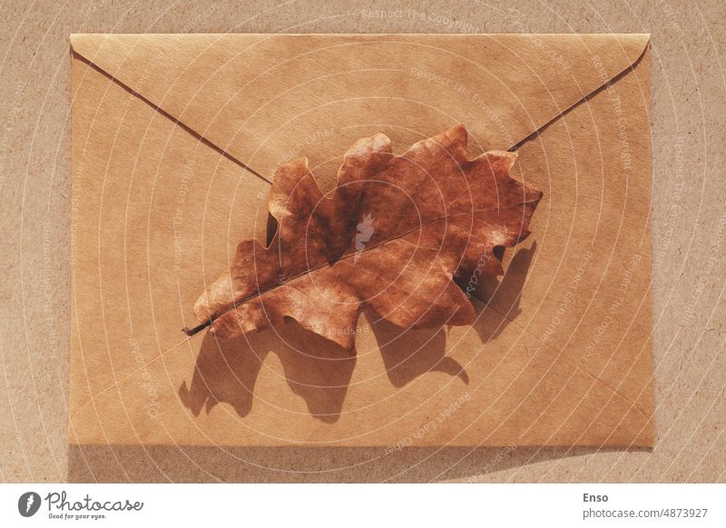 Oak leaf on brown paper envelope, minimal fall background, autumn flat lay oak leaf message minimalist hello autumn copy space retro nostalgia beige nature