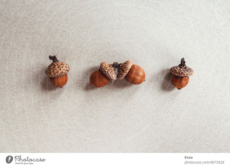 Acorns on brown paper for minimalist fall background, autumn flat lay acorns beige nature concept eco style season mockup composition design layout pattern