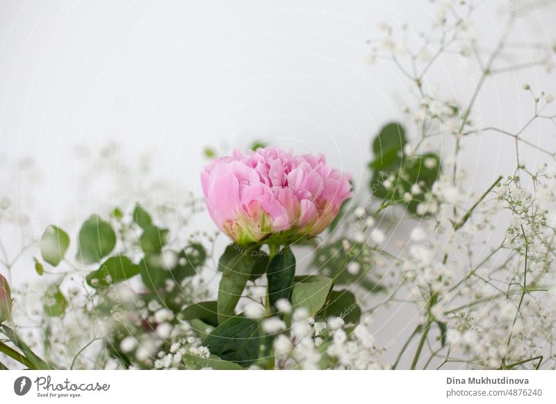 Pink peony and white and green flowers in bouquet closeup on white background. Floral backdrop of floristics. beautiful romantic flora floral bloom blooming