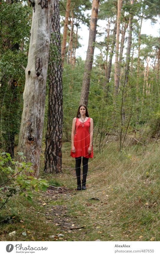Little Red Riding Hood or Rumpelstiltskin? Playing Trip Young woman Youth (Young adults) Body 18 - 30 years Adults Nature Tree Bushes Forest Lanes & trails