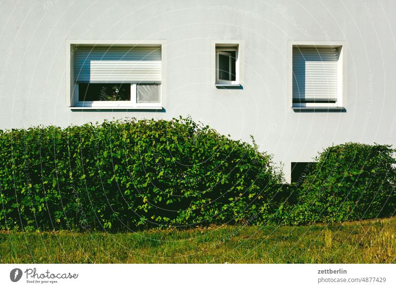 Facade with different windows Berlin Office Germany Window Garden Capital city House (Residential Structure) Hedge Life Deserted neighbourhood Town