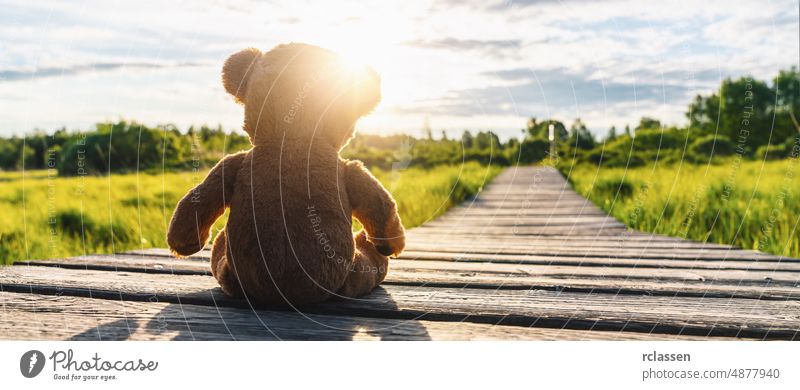Teddy bear sitting on a Path into the sun... copyspace for your individual text. teddy child path baby background lonely lost sunlight vintage happy summer
