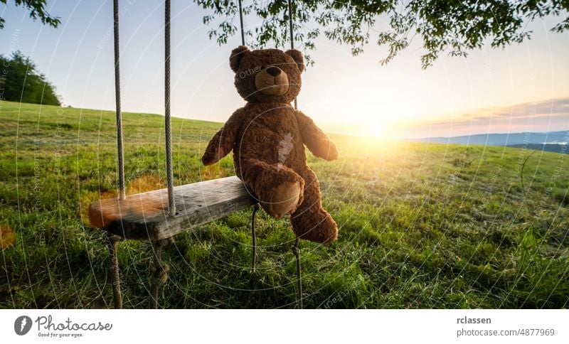 teddy bear sitting on a Swing on sunset. Love theme. Concept about love and childhood swing tree copy space summer oak baby background lonely lost clouds