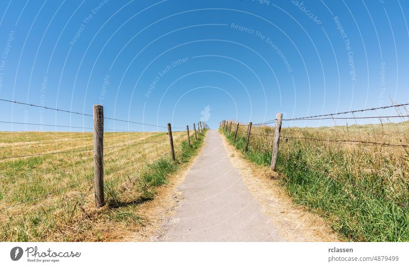 Path into the blue sky path pathway landscape hiking trail journey background road asphalt sun travel street rays countryside meadow summer footpath copy space