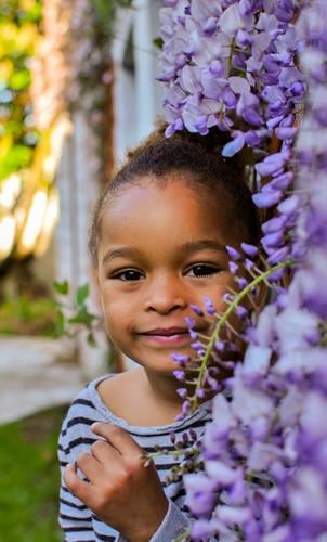 Toddler  girl of mixed race with curly hair posing in between purple wisteria flowers Girl spring summer green plant portrait beauty smile toddler Cute curls