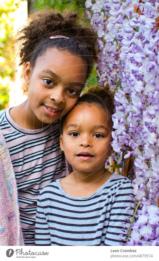 Teenage and toddler girl of mixed race ( sisters siblings) with curly hair posing in between purple wisteria flowers Girl teen teenager portrait green plant