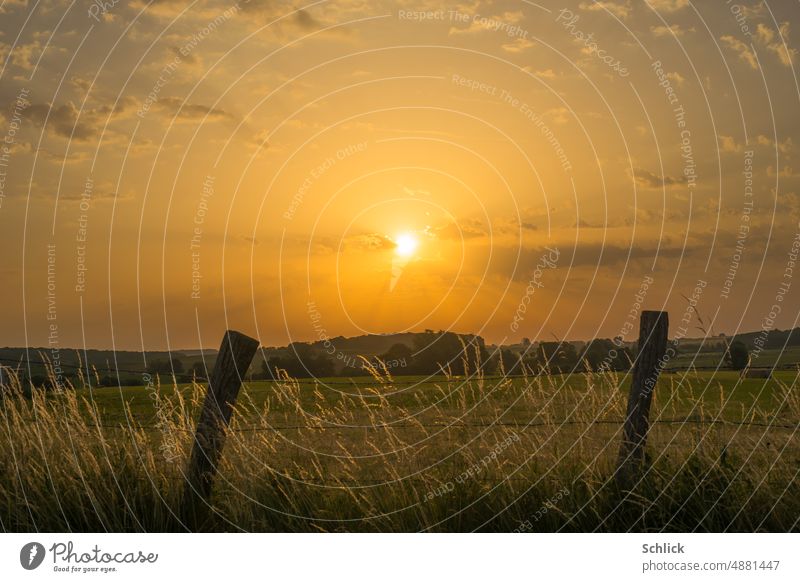 Sunrise in Lorraine with barbed wire fence and grass in foreground. Barbed wire graze Sky Sunbeam Warmth Yellow Orange Colour photo Landscape Sunlight Nature