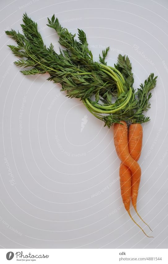 Advanced raw food | bunch carrots | young vegetables | biodynamic | fresh & crunchy Bunch carrots Carrots with green Vegetable Raw vegetables Fresh Crunchy