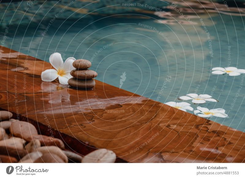 Stack of flat stones with a frangipani flower beside a swimming pool wellness spa leisure vacation holiday summer lifestyle copy space meditation calm zen-like