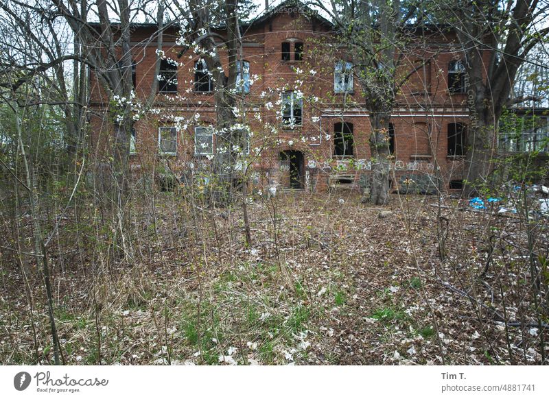 a ruin hidden behind bushes Ruin Brandenburg Spring Day Deserted Exterior shot Architecture House (Residential Structure) Colour photo Window Nature