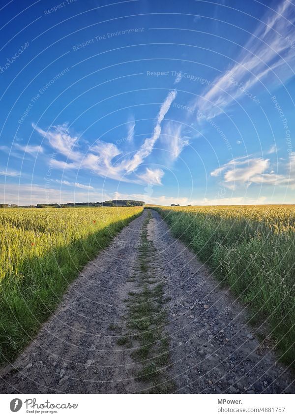 dirt road off the beaten track Lanes & trails Summer Right ahead hiking trail Clouds Field Green Agriculture Stony Blue sky Deserted Street Exterior shot
