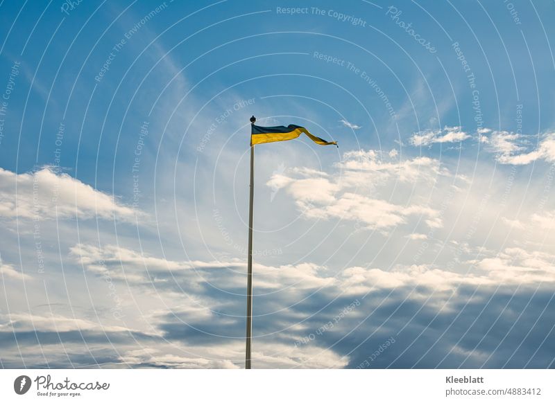Swedish flag as pennant on flagpole against sunny cloudy blue sky Swede Flagpole Kingdom Wind Patriotism Sky Ensign Nationalities and ethnicity Blue Judder Blow