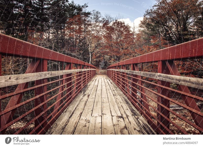 Bridge with rusty reiling in the Acadia National Park, Maine forward acadia national park bridge maine brown orange landscape autumn foliage nature green wood