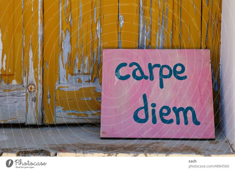 carpe diem Signs and labeling sign Signage Characters Letters (alphabet) Communication use the day Hope Humble fatalism writing