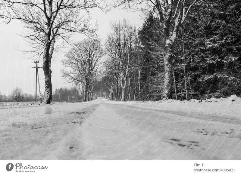 winter road Winter Snow Street Landscape b/w bnw Black & white photo Exterior shot Day Deserted Poland