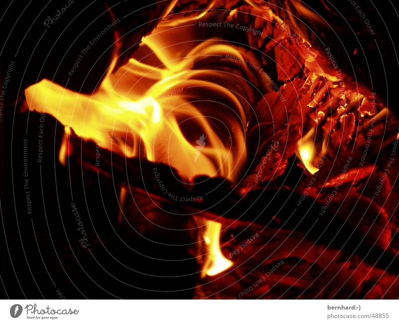 it burns Wood Heat Burn Blaze Physics Energy industry Warmth hot