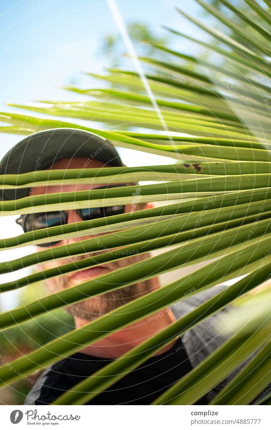 Peeping Tom on vacation look Observe dedective observation tightener eyeball Hide Hiding place Man incognito Anonymous anonymity Palm tree Safety Criminality