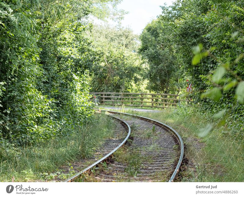 Railroad track passes through green landscape Flower Flowers and plants Nature Summer Landscape Green Green space naturally Wilderness wildlife rail rails