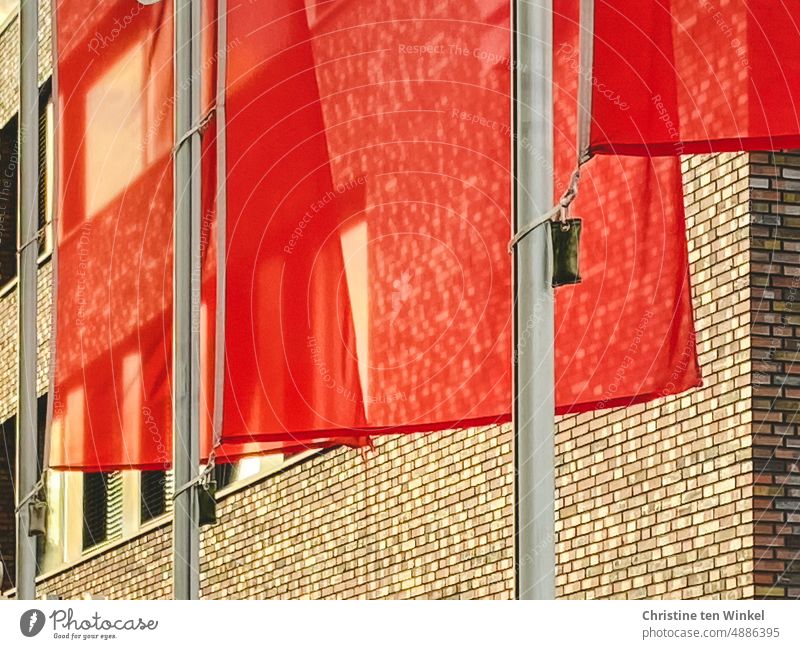 Transparent red flags in warm evening light in front of brick building Flags clinker facade clinker construction Sunlight Glimmer gleaming Glittering Light