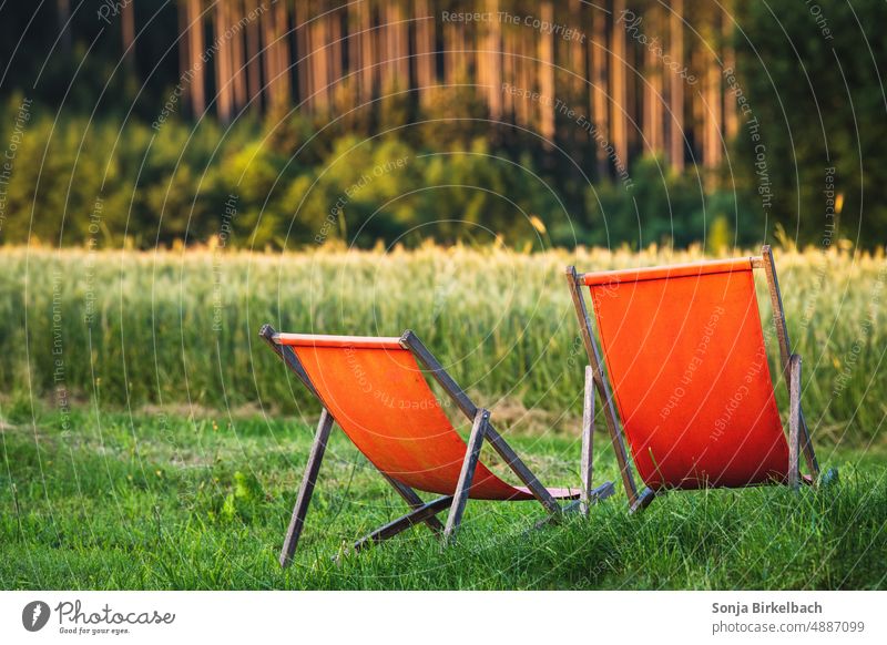 Enjoy the forest :) Deck chairs on the edge of the forest Forest Deckchair vacation Relaxation Summer Calm Colour photo Vacation & Travel Exterior shot Deserted