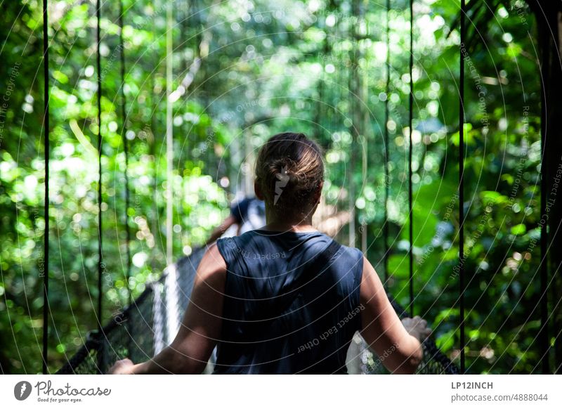 CR XX Suspension bridge Costa Rica Woman Tourism Vacation & Travel Hiking vacation National Park Freedom Far-off places Adventure Nature Exterior shot