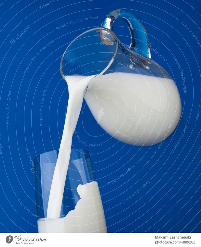 Pouring milk with splash on blue background pouring jug glass isolated cream white healthy dairy pitcher fresh flowing jar cup beverage wave breakfast closeup