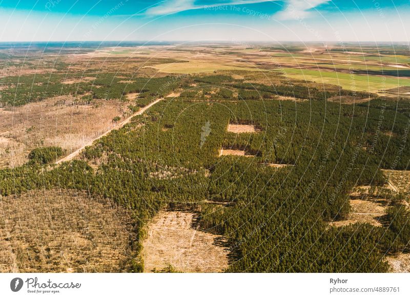 Aerial View Of Deforestation Area Landscape. Green Pine Forest In Deforestation Zone. Top View Of Forest Landscape. Drone View. Bird's Eye View Early Spring