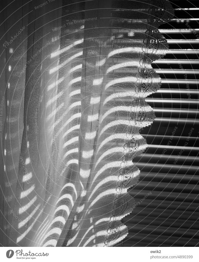 Sleepy nest Window Venetian blinds Curtain Drape opaque Plastic Black & white photo Pattern Interior shot Morning Structures and shapes Light Shadow Contrast