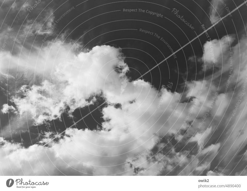 high-altitude exhilaration Sky Sky only Clouds Air Freedom Far-off places Aviation Line Vapor trail Black White Exterior shot Contrast Day Deserted Light Above