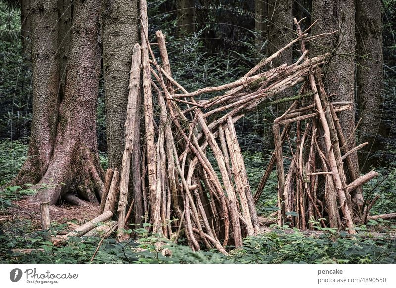 is this art or can it go? | well positioned! Forest Wood logs set Primitive times Art Goal Nature Tree Environment naturally Tree trunk Landscape Forestry