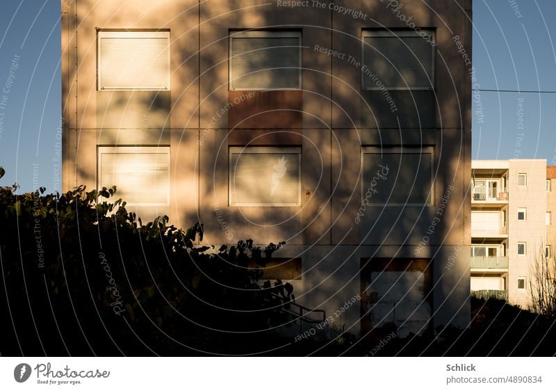 Facades uninhabited apartment block with shading by tree and closed shutters block of flats Shadow Tree shadow cast ardor Roller shutter Closed Uninhabited too