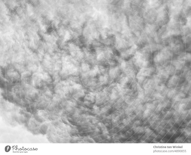 Density (sheep) - clouds in the sky Clouds Cloud cover Clouds in the sky Cloud formation Sheep Clouds Sky Cloud field Monochrome Bank of clouds