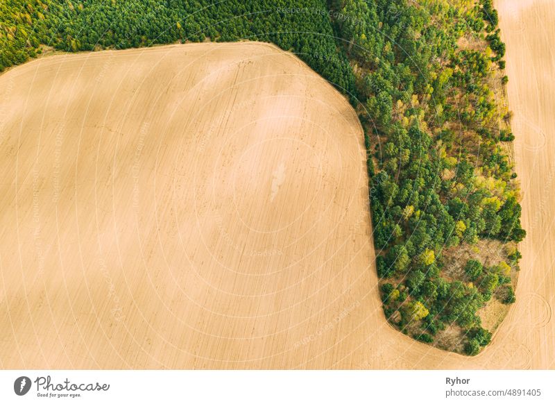 Aerial Top View Of Agricultural Landscape With Growing Forest Trees On Border With Field. Beautiful Rural Landscape In Bird's-eye View. Spring Field With Empty Soil