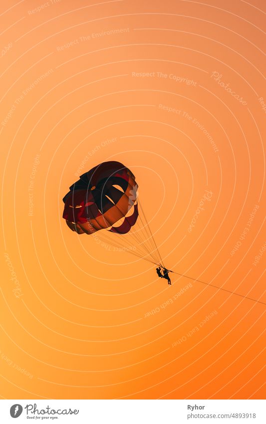 Parasailers Flying On Colorful Parachute In Sunset Sunrise Sky. Active Hobby active activity adventure air beautiful bright clear color copy space danger