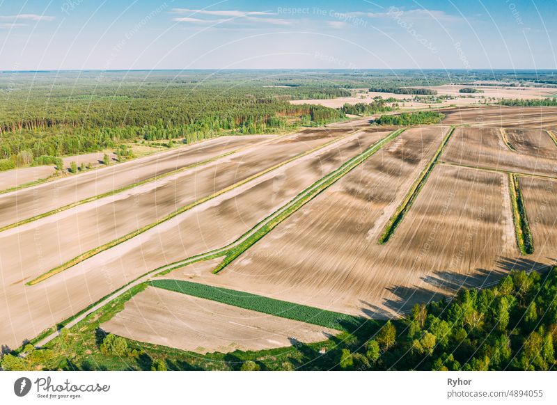 Aerial View Spring Empty Field With Windbreaks Landscape. Top View Of Field And Forest Belt. Drone View Bird's Eye View. A Windbreak Or Shelterbelt Is A Planting Usually To Protect Soil From Erosion.