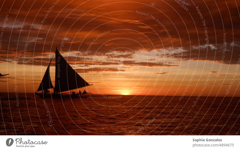 Sailing boat on a Sunset Sea Sailboat Water Ocean