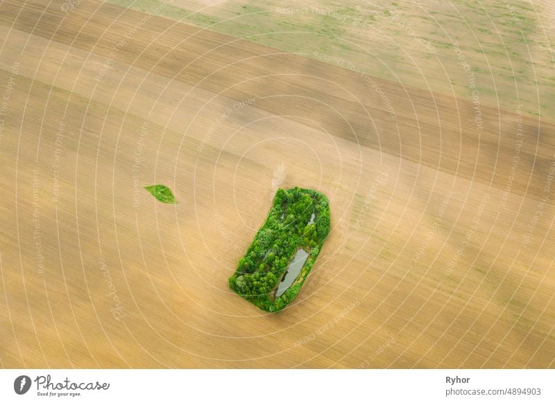 Small Green Natural Island With Green Grass, Forest And Small Pond In Spring Empty Rural Field Landscape. Agricultural Field. Aerial View aerial aerial view