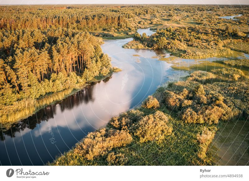 Aerial Elevated View Of Green Forest Growth On River Coast Landscape In Sunny Summer Evening aerial aerial view beautiful belarus eastern europe ecosystem