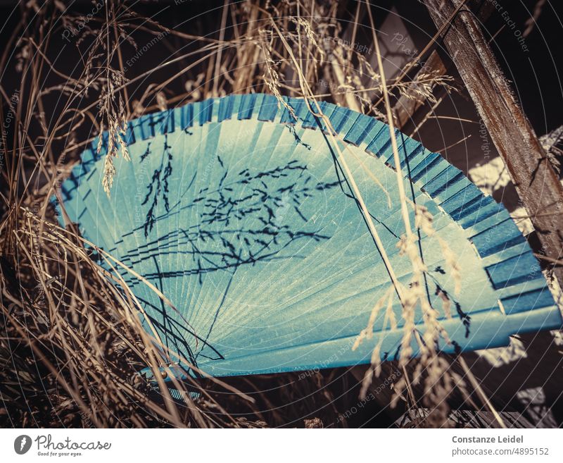 Blue fan lying in withered grass, covered with shadow from grass. Colour Guide diversified faded Grass Shadow play Pattern Structures and shapes Brown Sunlight