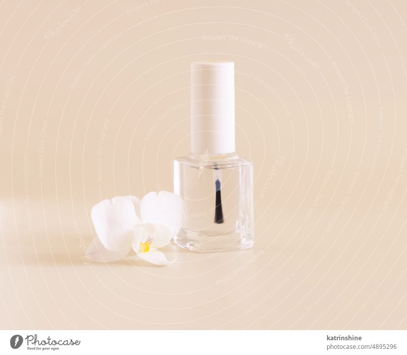 Glass Bottle with Brush Cap near white orchid flower on light yellow. Mockup bottle mockup Refillable tropical clear glass transparent pastel negative space